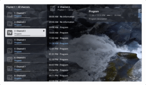 What Is TiviMate IPTV
